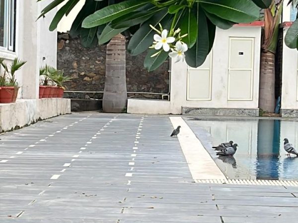 WhatsApp Image 2026-01-13 at 3.00.06 PM (6)