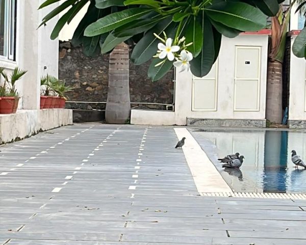 WhatsApp Image 2026-01-13 at 3.00.06 PM (6)