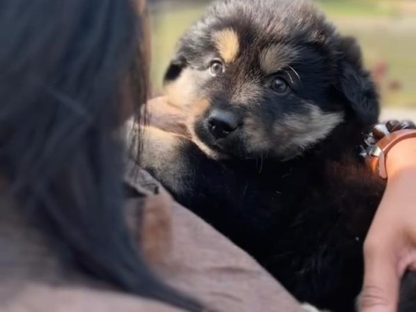 WhatsApp Image 2026-01-13 at 3.00.07 PM (11)