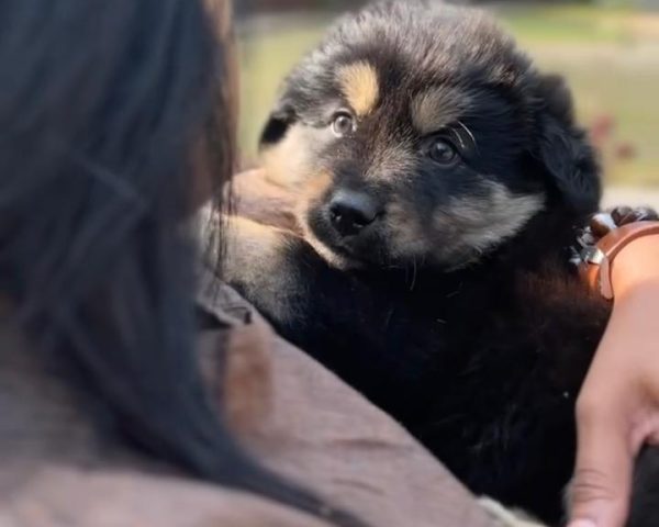 WhatsApp Image 2026-01-13 at 3.00.07 PM (11)