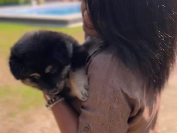 WhatsApp Image 2026-01-13 at 3.00.07 PM