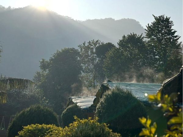 WhatsApp Image 2026-01-13 at 3.00.07 PM (8)