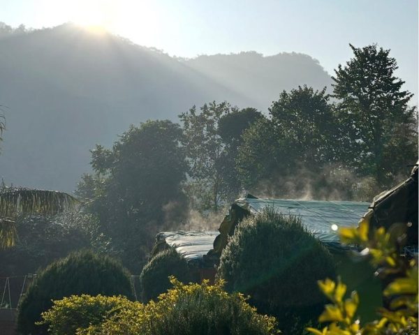 WhatsApp Image 2026-01-13 at 3.00.07 PM (8)