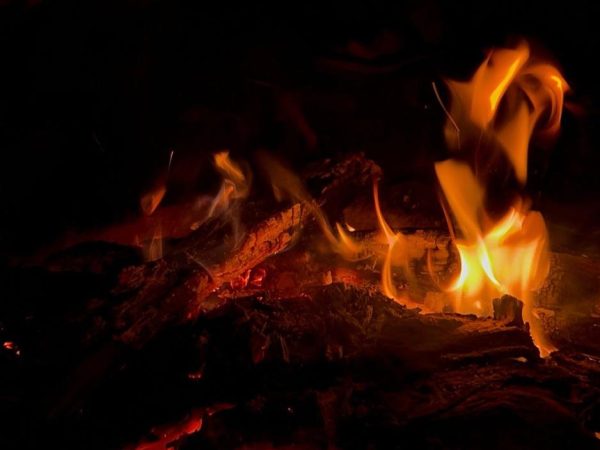 WhatsApp Image 2026-01-13 at 3.00.07 PM (9)