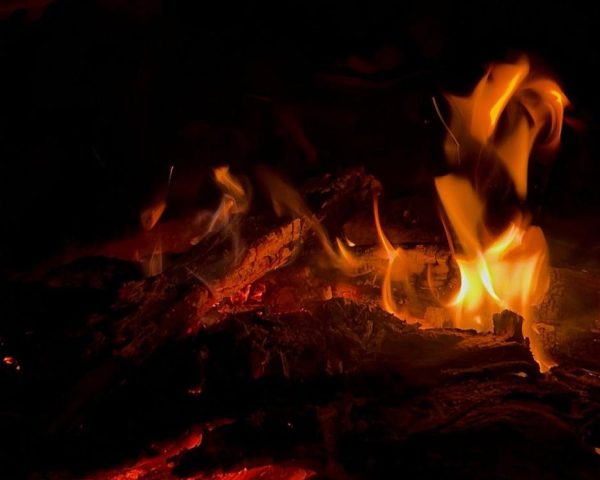 WhatsApp Image 2026-01-13 at 3.00.07 PM (9)